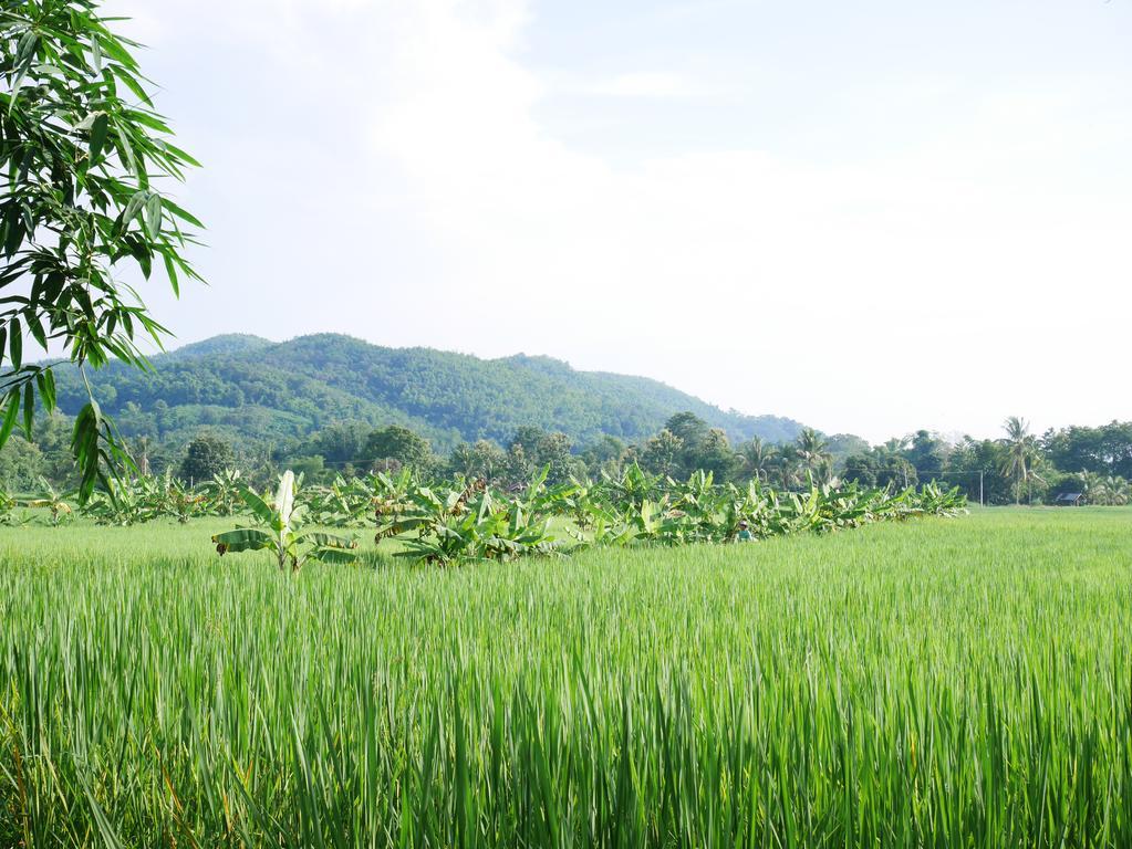 Loei Airport Homestay Екстер'єр фото