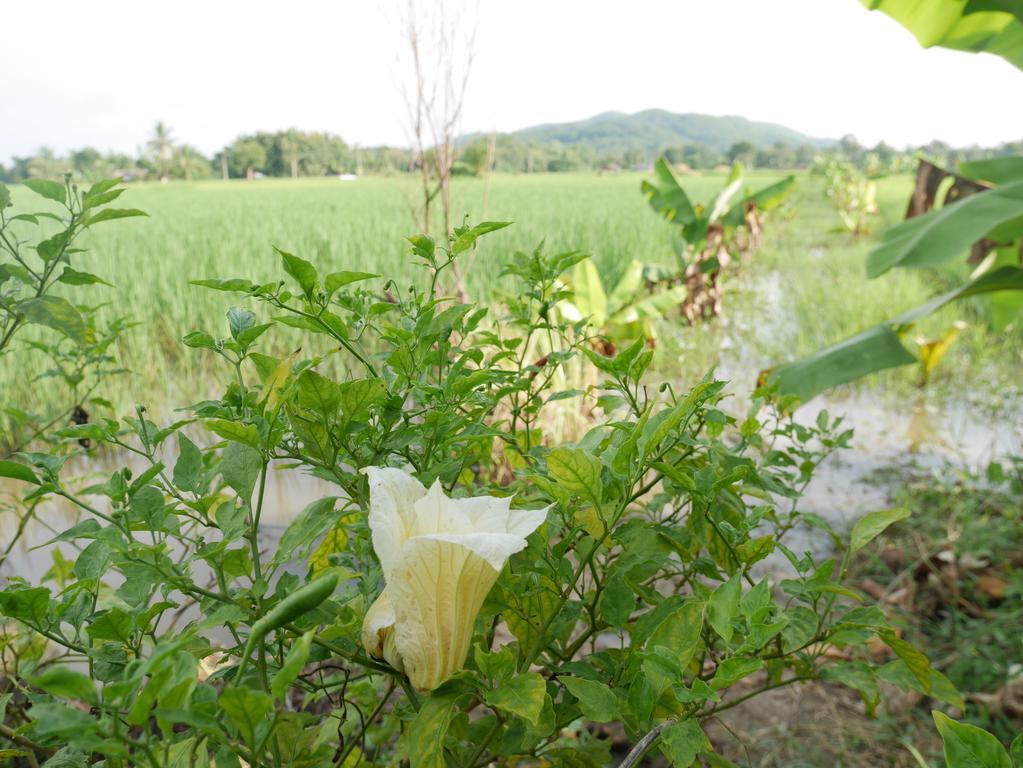 Loei Airport Homestay Екстер'єр фото